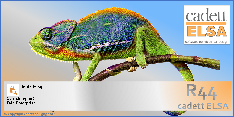 Figure 2389: &nbsp;The cadett ELSA splash screen informs that a search for a license is currently being made.